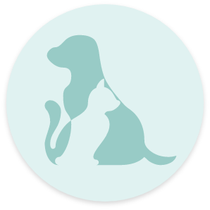 Logo von YOPIN